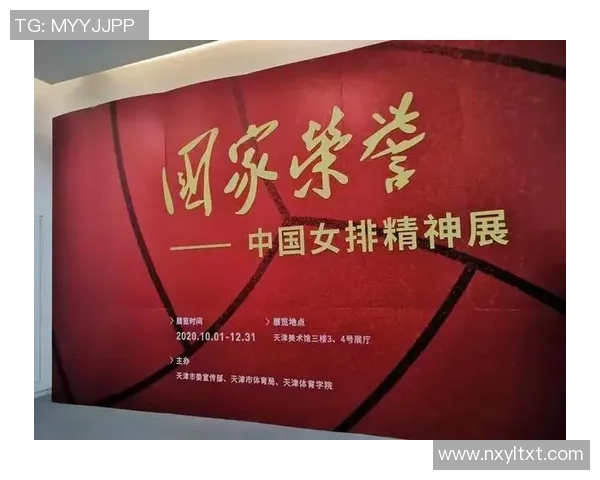 南京排球队运营揭秘：探索成功背后的策略与挑战