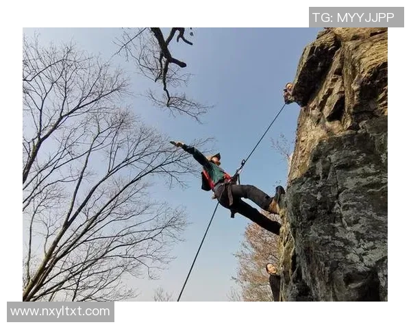 南京攀岩队比赛经验对比深度剖析与未来发展展望